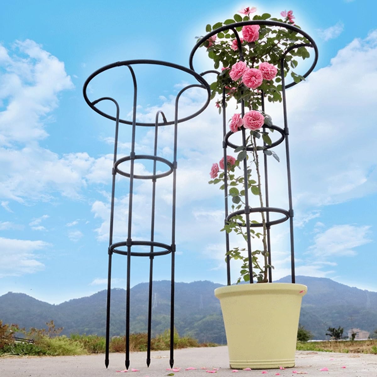 LTSRLL Obélisque De Jardin en Métal 70/100/130/160 Cm Cages Tuteurs Ø 22 Cm Support pour Plantes Grimpantes(70cm/2.3ft)