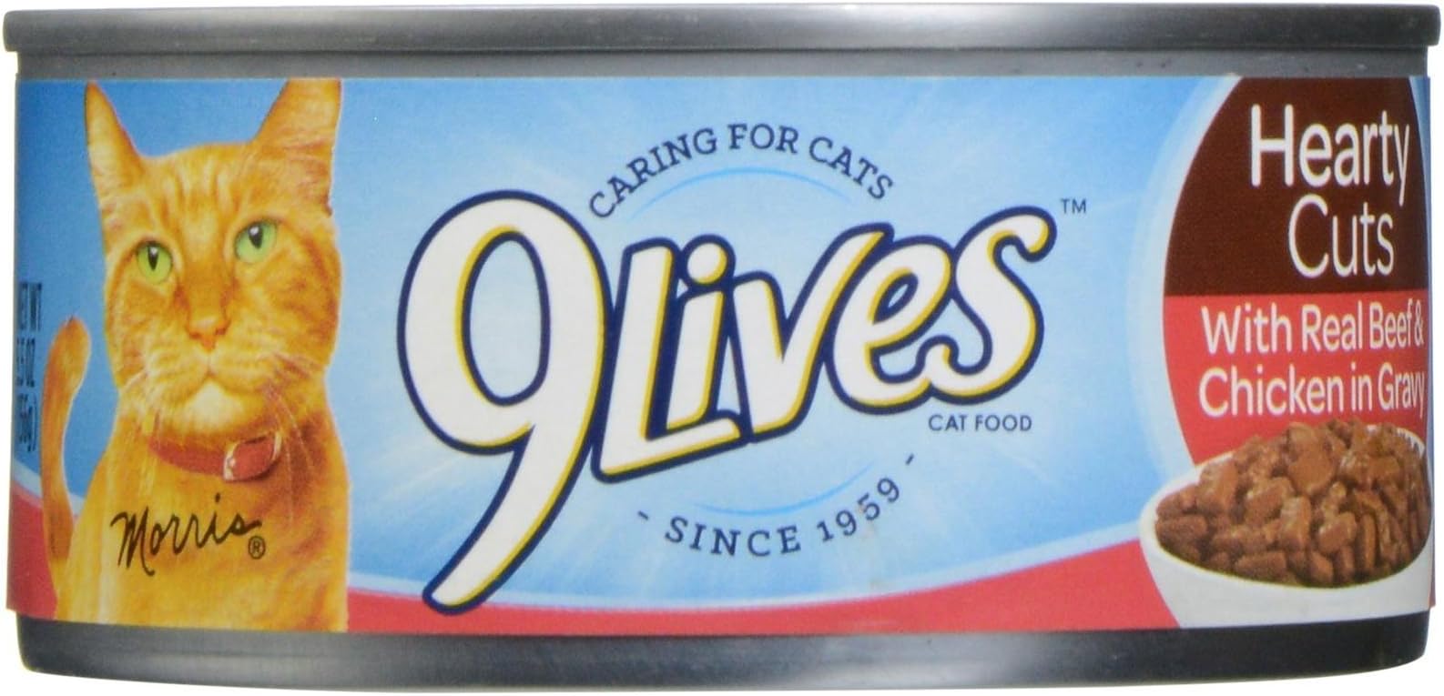 Delmonte Foods 799160 24-Pack 9Lives Sliced Beef In Gravy For Pets, 5.5-Ounce