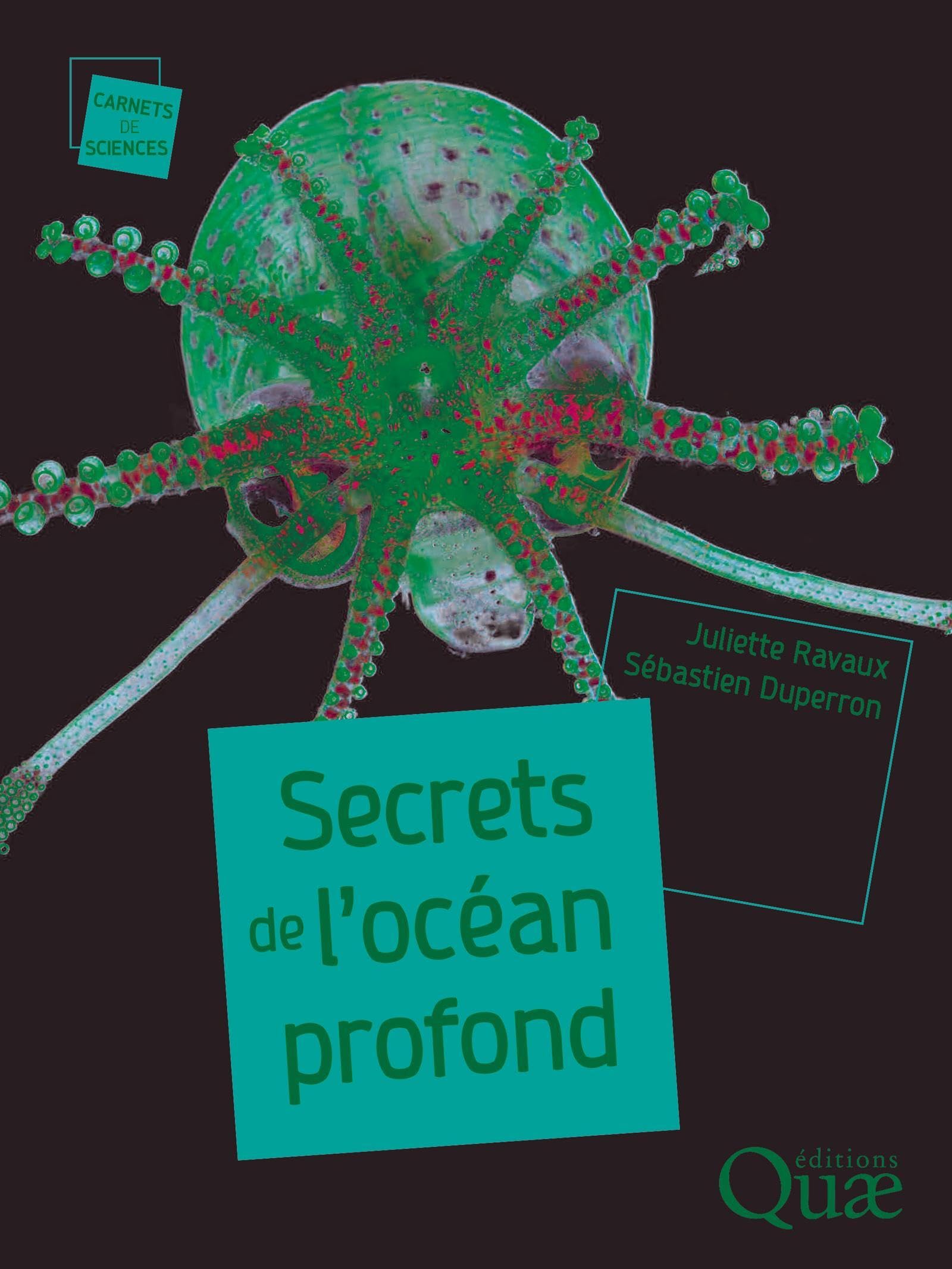 Secrets de l'océan profond