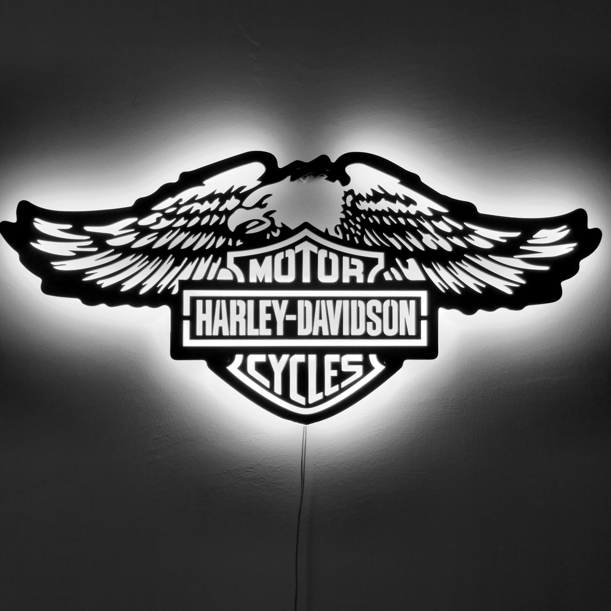 Amazon.com: LED Motorcycle Wall Art with Eagle Wings, Metal Sign