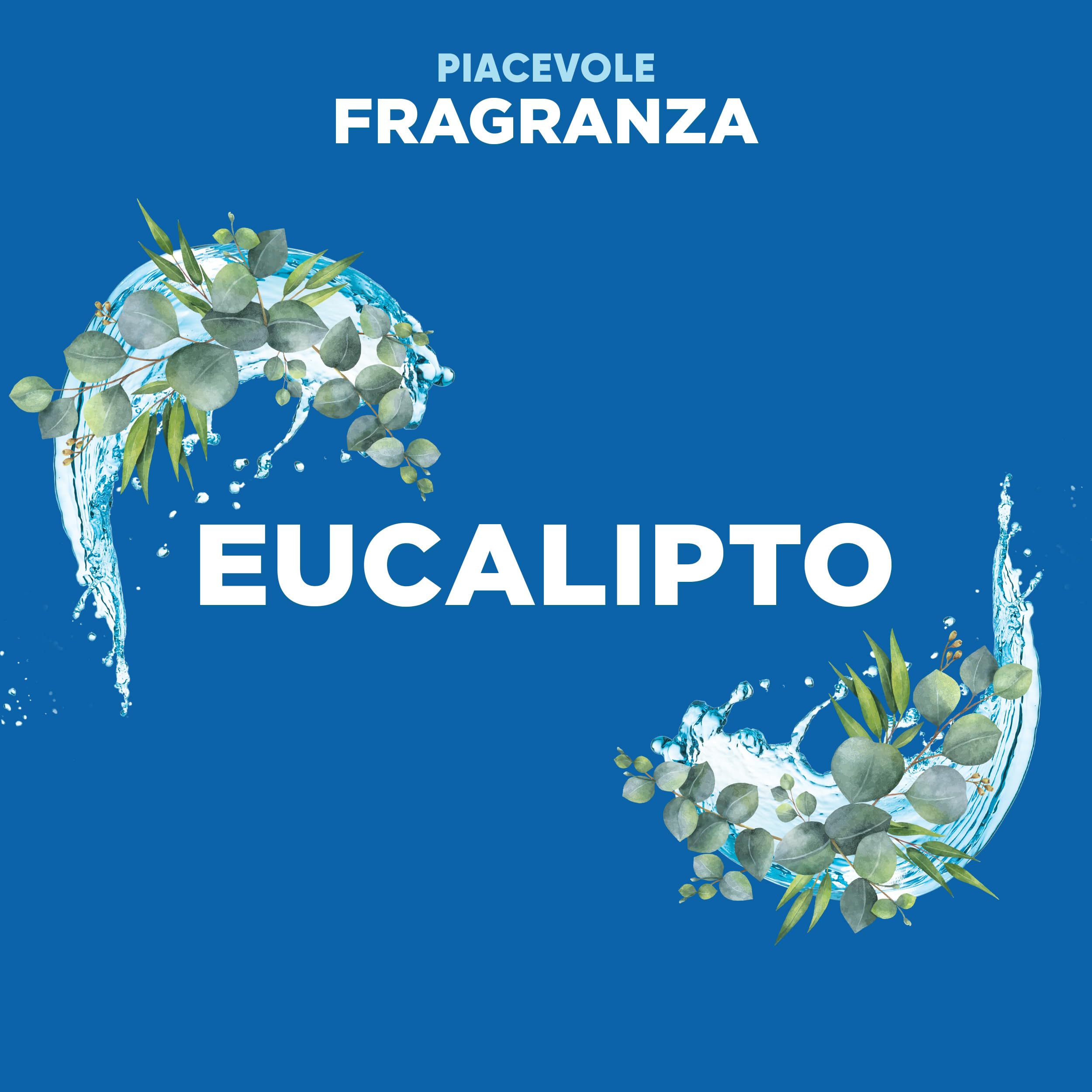 Duck Fresh Discs - 2 Ricariche da 6 Dischi Gel Igienizzanti WC, Fragranza Eucalipto con agenti candeggianti, Confezione da 2 Applicatori e 12 dischetti