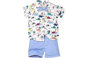 Toddler Dinosaur Summer Clothing Sets For 2 to 4 Years Boys