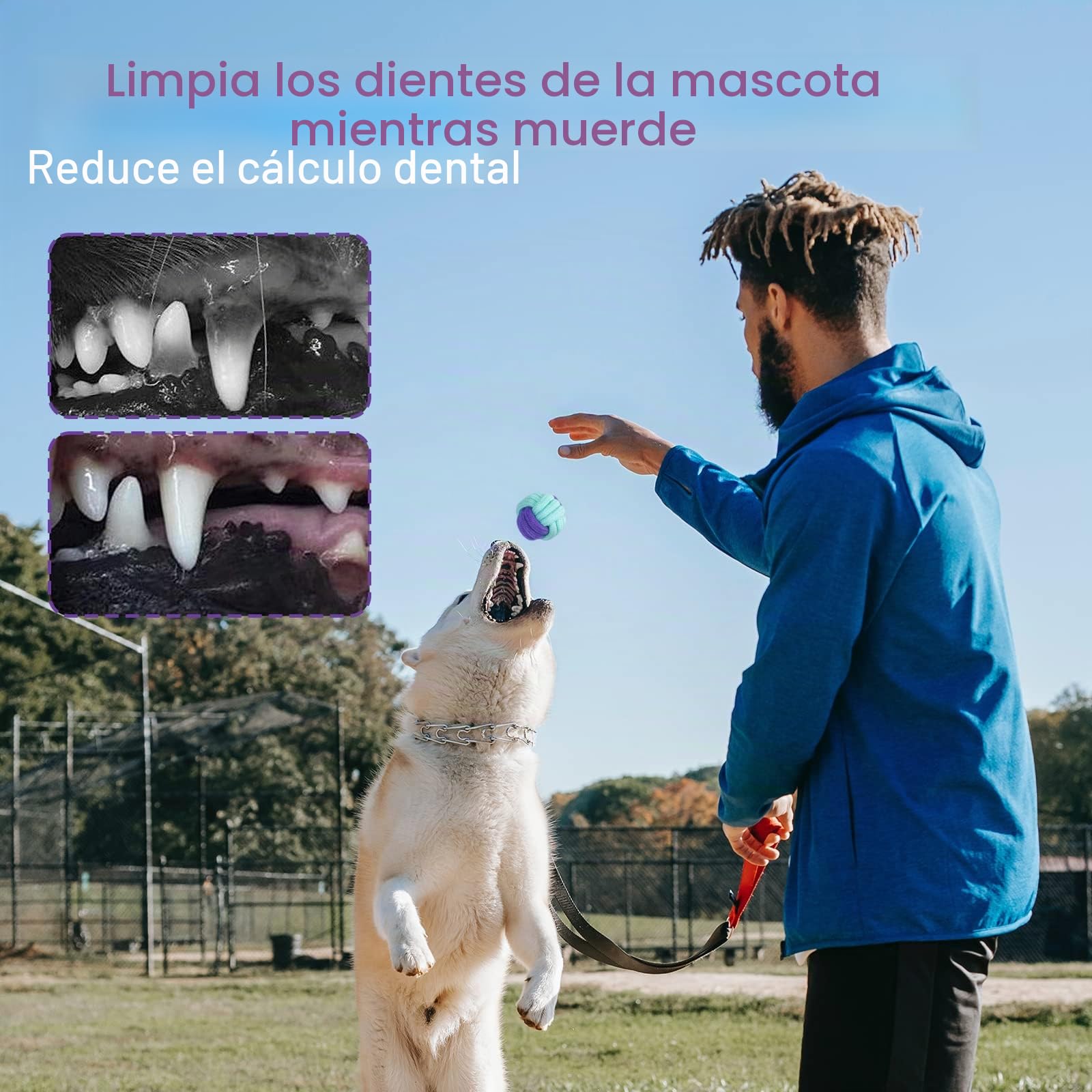 Juguete Interactivo para Morder para Perros pequeños/Medios/Grandes, 20pcs, Cuerda de Algodón Durable Masticable para Cachorros