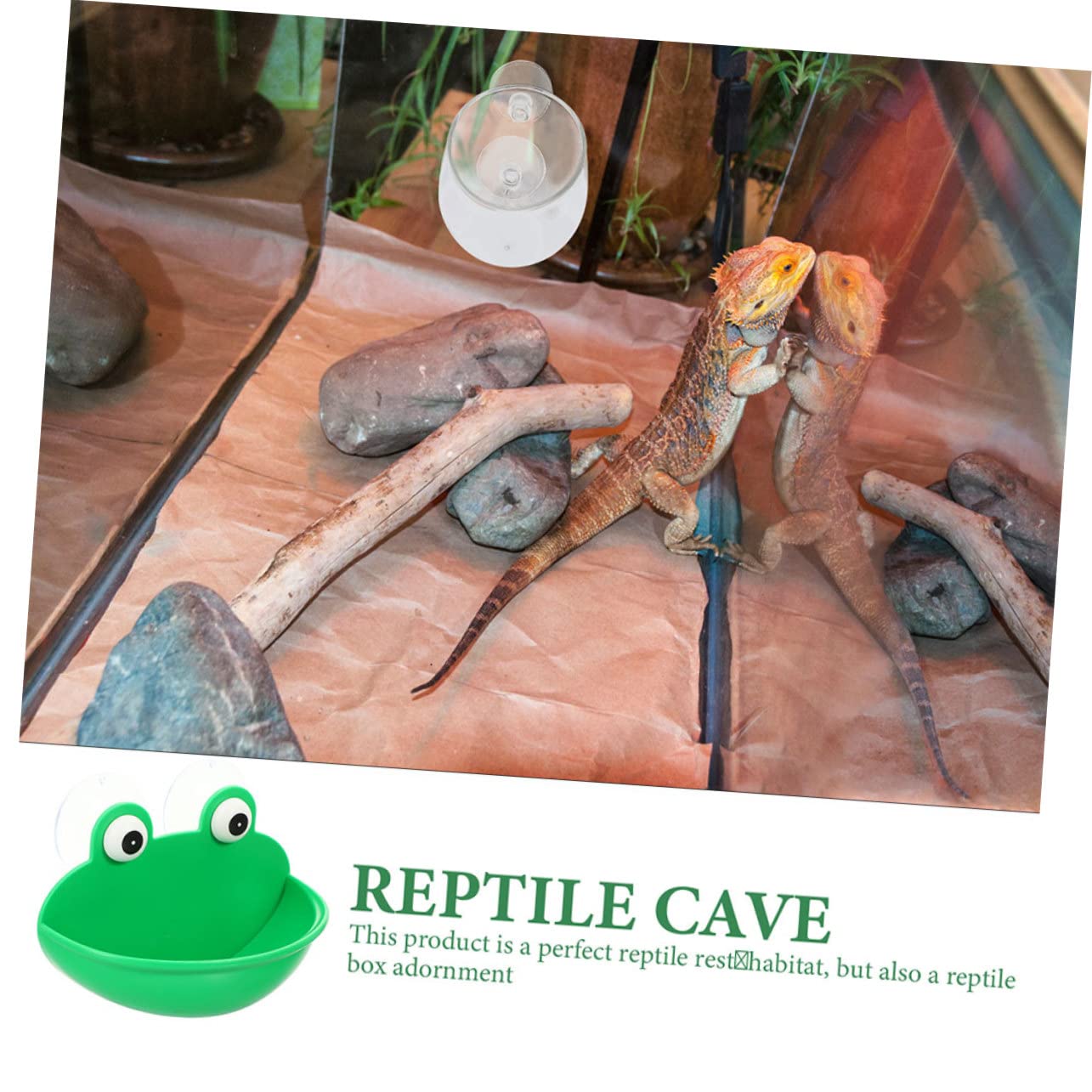 Angoily 6pezzi Terrario Per Rettile Con Design Motivo Di Accessori Per Riposo Di Lucertole Gechi e Altri Animali Acquatici Stabile e Facile Da Installare