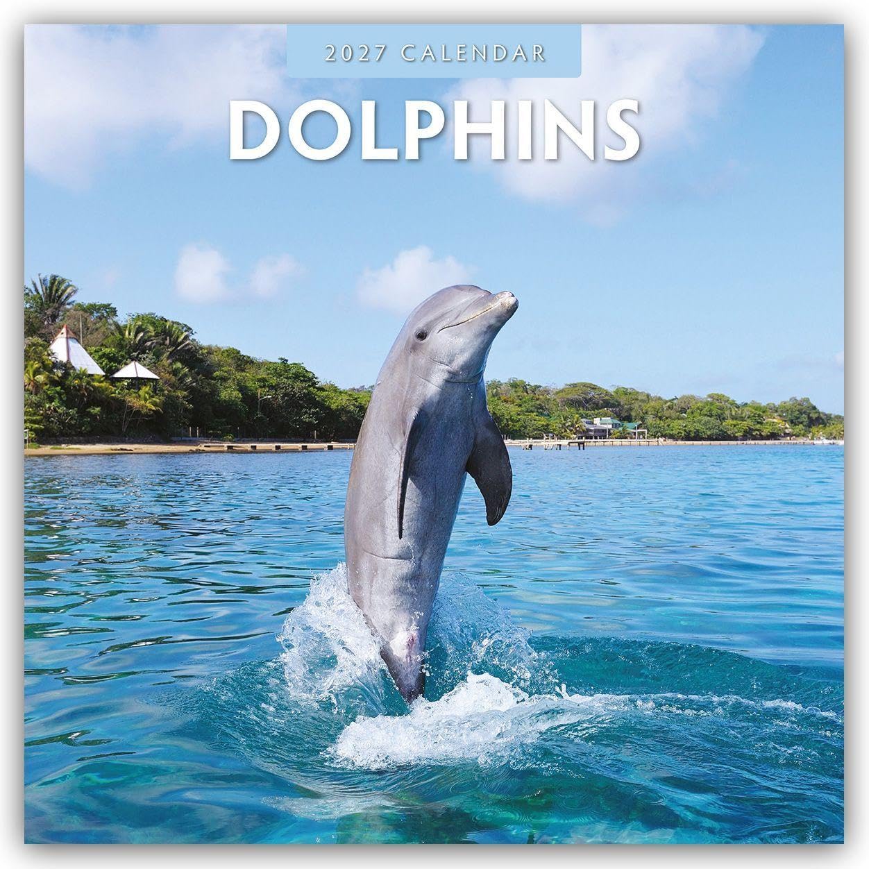 Dolphins 2027 Square Wall Calendar: Original Red Robin Publishing Ltd-Kalender [Mehrsprachig] [Kalender]