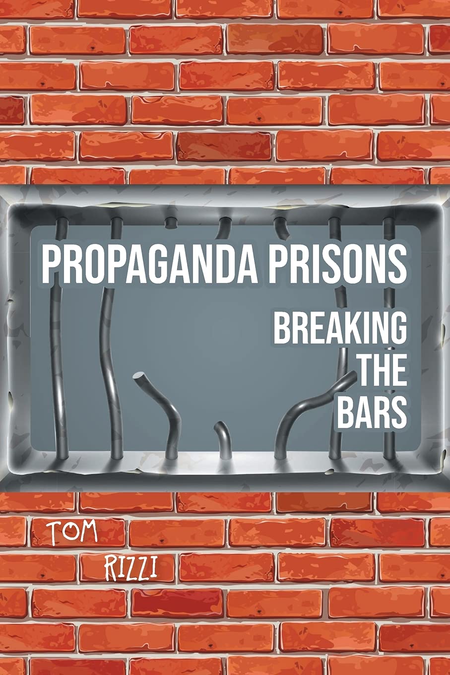 Buy Propaganda Prisons: Breaking The Bars — BookShops.in