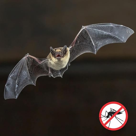 Uncle Dunkels All-Natural Bat-Nip Pheromone Spray; 4 Fluid Ounces Bat House Attractant Spray