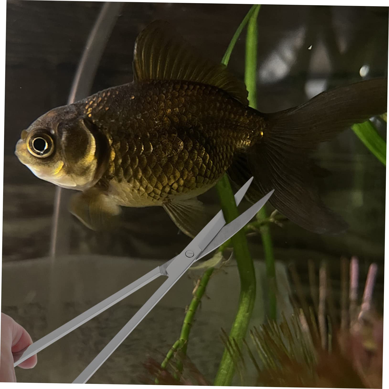 Parliky -in-one Aquarium Cleaning Tools Set of Stainless Tweezer Scissors Portable Shovel and Long Scraper for Efficient Plant Trimming