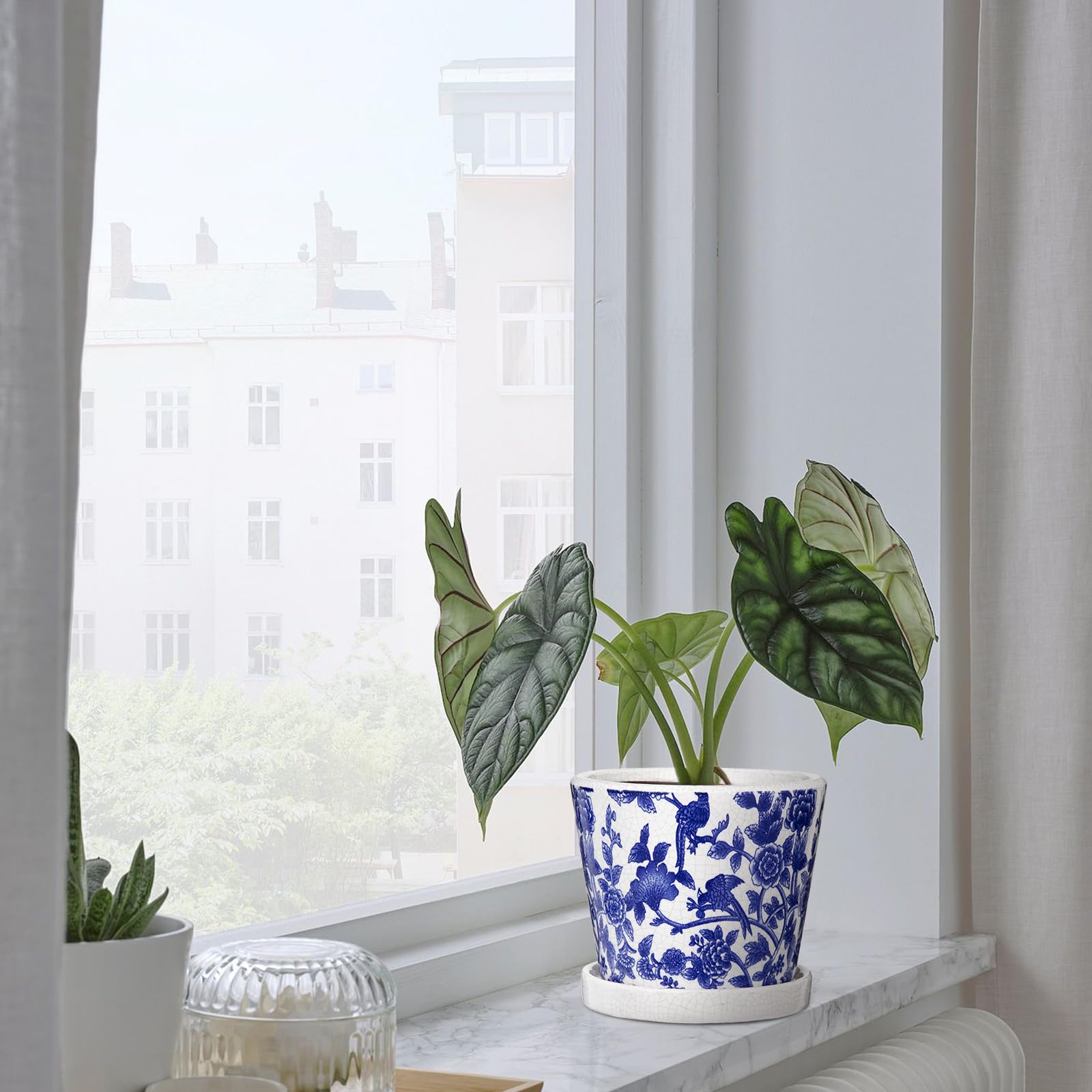 Oairse 2 vasi da fiori in ceramica, rotondi, con fori di drenaggio, sottovasi, piccoli vasi per piante grasse e cactus, interni e esterni, giardino, casa, davanzale
