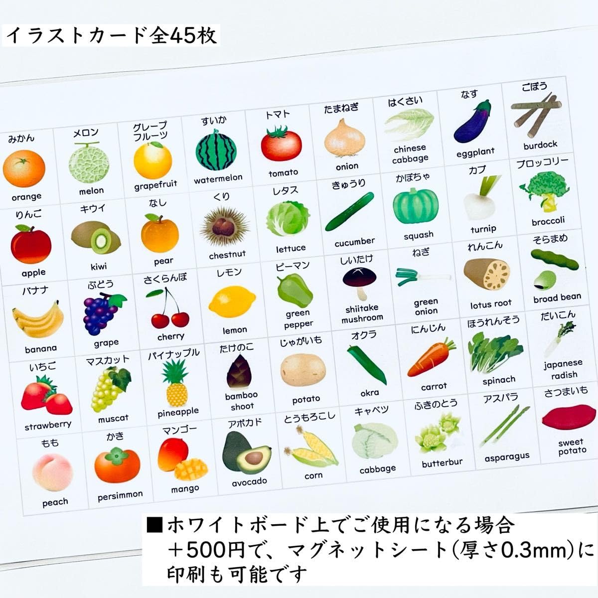 Amazon | 小学校受験マスター 教材セット 季節 野菜 果物 動物