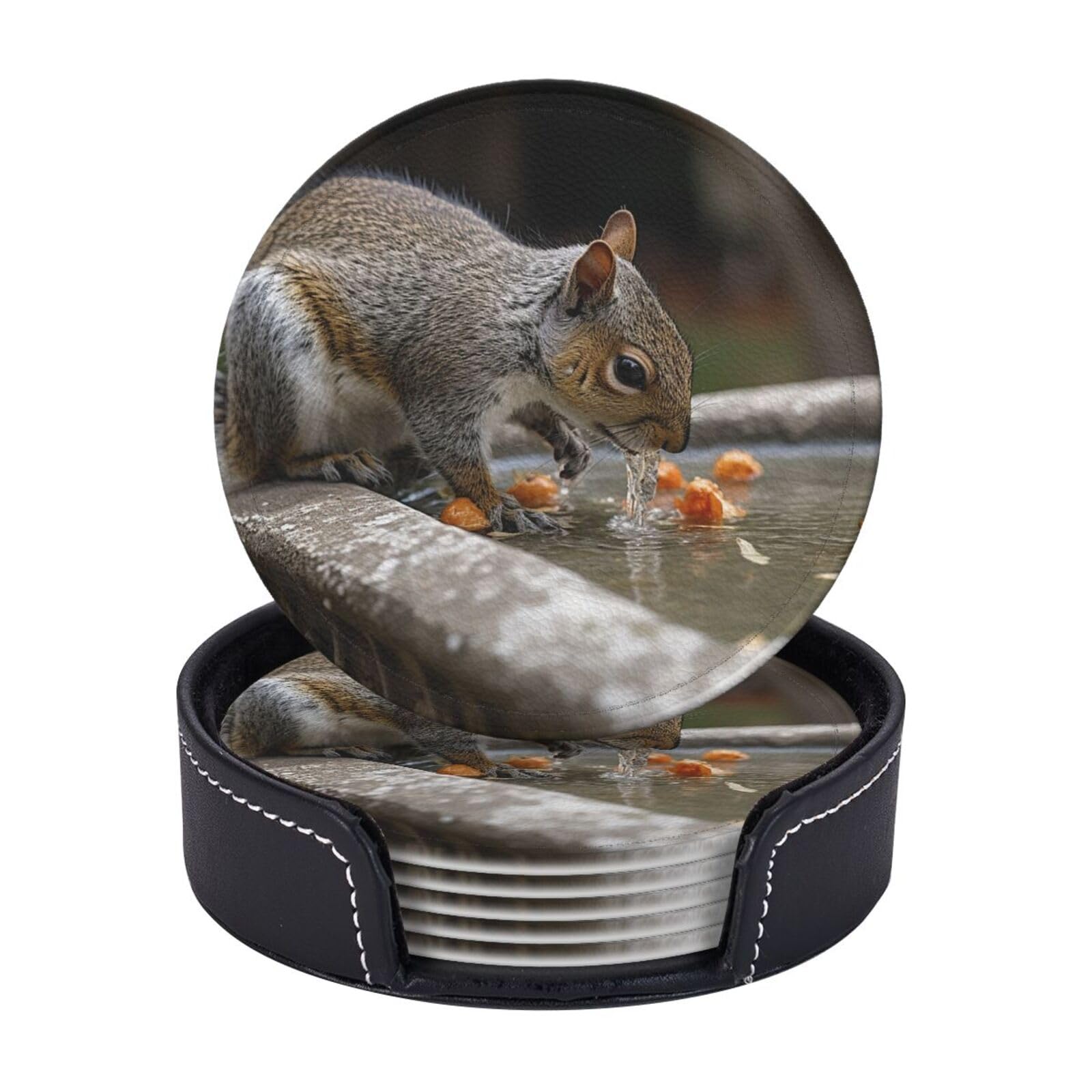 Drink Coasters Set of 6 Coffee Leather Coaster with Holder Squirrel Drinking Water Coasters for Drinks Coffee Cup Mat Heat Resistant Tabletop Protection Coaster Desk Accessorie Home Decorative