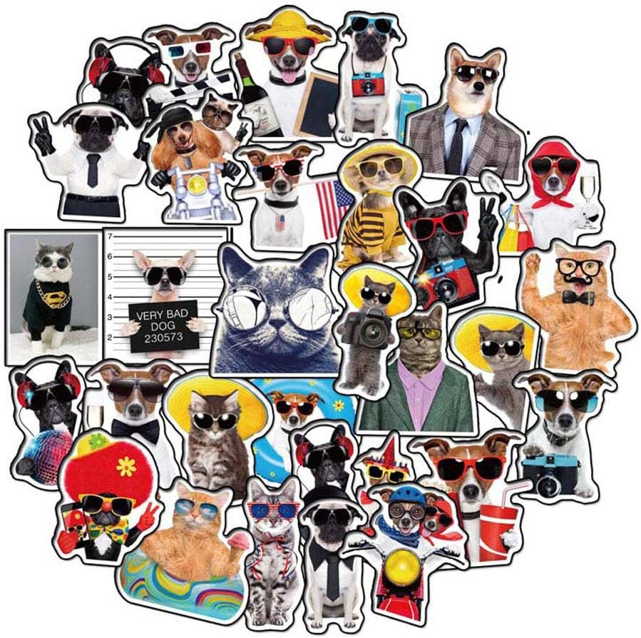 DOFE 38PCS Cat and Dog Stickers,Cute Animal Vinyl Decals for Laptop, Laptop Stickers,Motorcycle Bicycle Luggage Decal Graffiti Patches for Teens (38 PCS Cat and Dog Stickers)