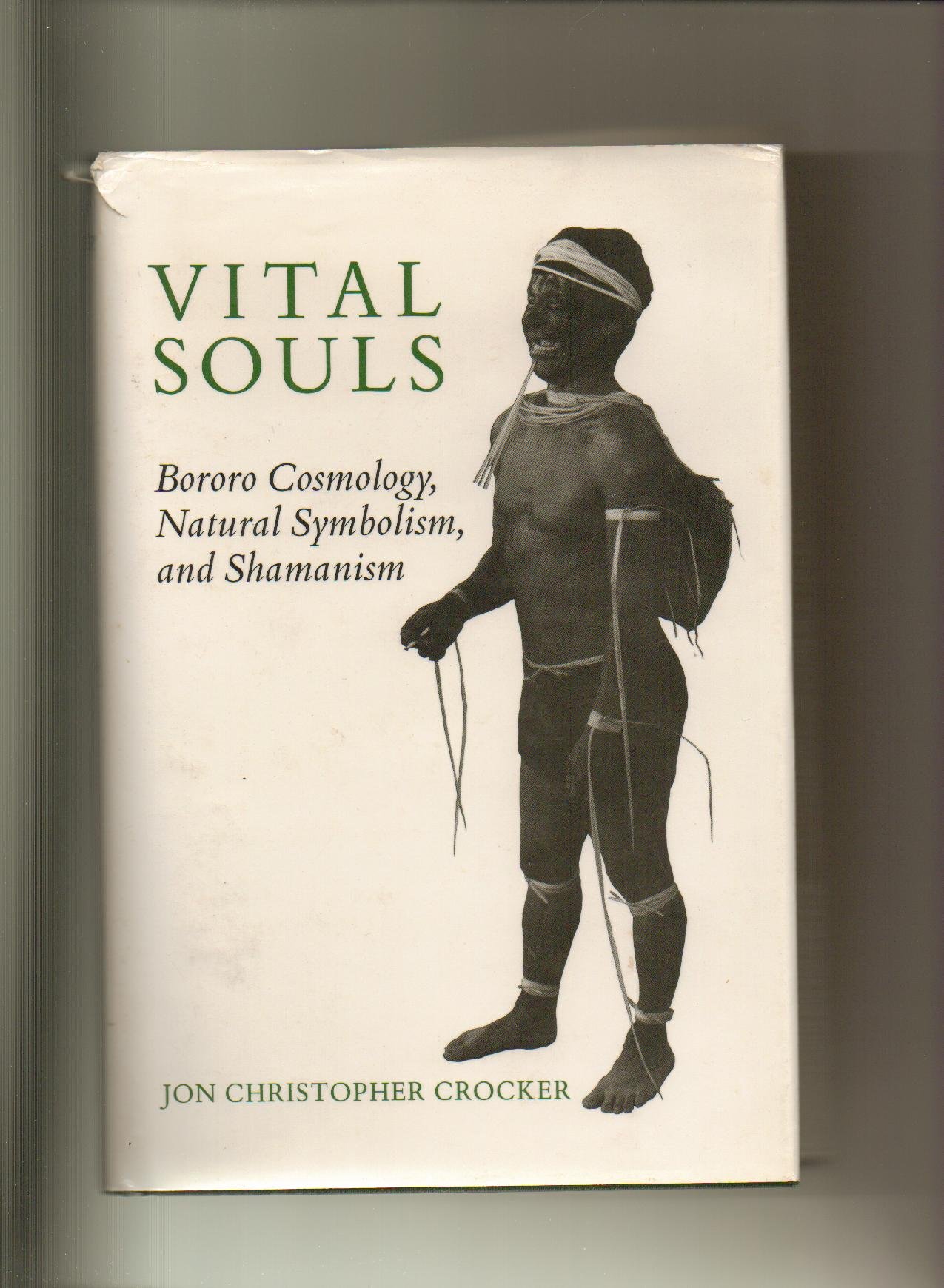 Vital Souls: Bororo Cosmology, Natural Symbolism, and Shamanism (The Anthropology of Form and Meaning)