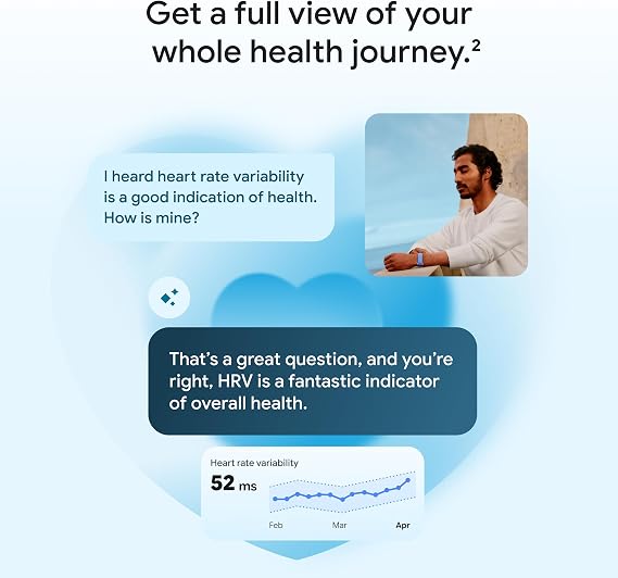 Google Fitbit Next、オブシディアン。