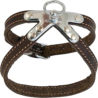 JACK AND VANILLA, Arnés de Piel, marrón Resistente para Animales, Comodidad óptima, fácil de Usar, Seguridad Reforzada, 10 mm de Ancho, 25 cm de Longitud, Color marrón, Modelo de Piel Gris