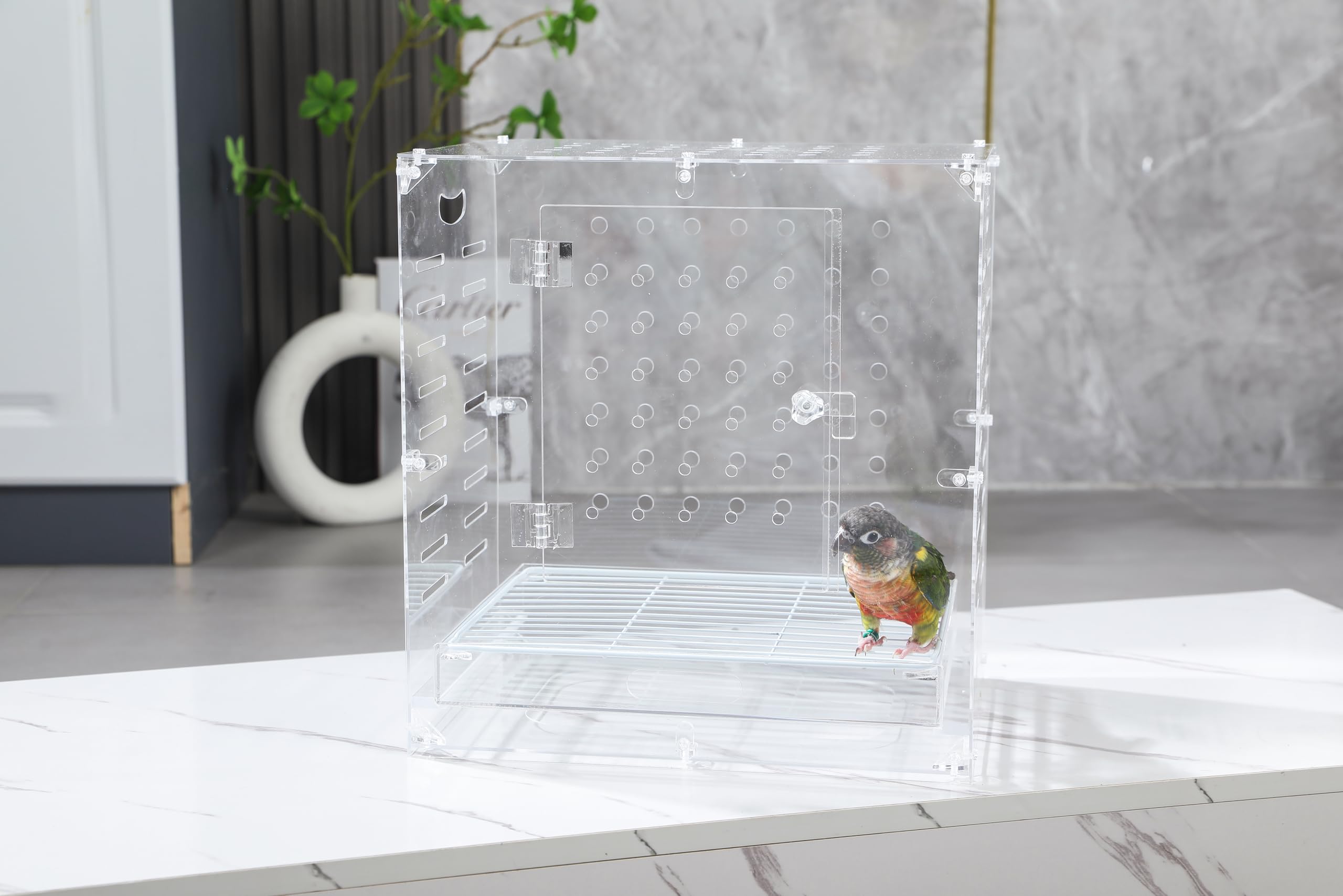 Clear Acrylic Bird Cage for Small Birds, Transparent Display Habitat for Canary, Parakeet - Easy to Clean & Assemble (9x12x15in) - image 5
