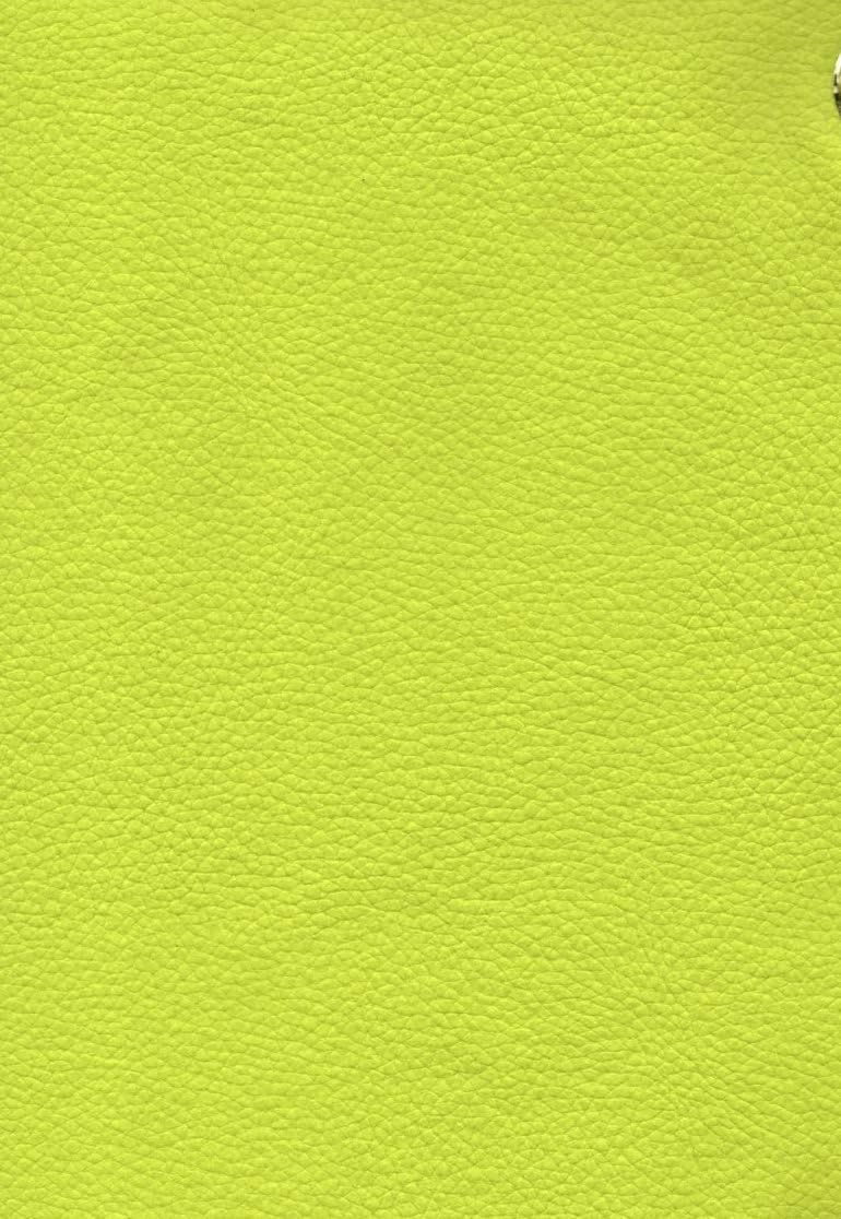 Marine Vinyl Lime Outdoor/Indoor Pebble Grains Fabric 54 Width Sold by The Yard Ships Rolled