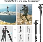 SmallRig Carema Tripode, 78.7" Tripode en aluminium pliable & Monopod avec 360°Ball Tête amovible et plaque de libération rapide, hauteur réglable de 18.5" à 78.7"