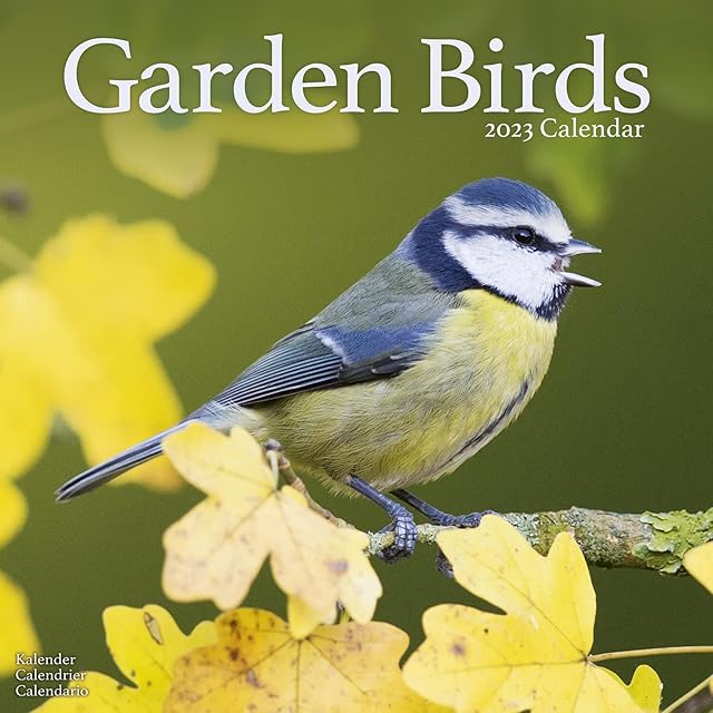 Garden Birds Calendar 2023 | Square Wall Bird Calendar | 16 Month | with Free Organisational Stickers