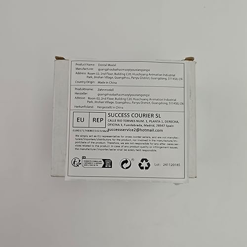 Miniatura 7 de Modelo de boca Bisagra blanca para terapia del habla, ideal para cepillar, enseñar dientes dentales, modelo para niños y niños, 6 veces ampliado,