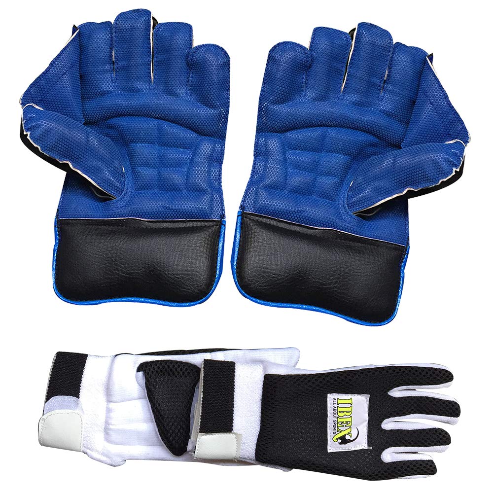 JetFire Ibex Regular Wicket Keeping Gloves Combo with Black Inner Gloves Wicket Keeping Gloves (Men, Blue, Black) (B07P5ZGZYH) Amazon Price History, Amazon Price Tracker