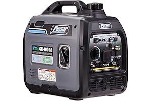 Firman 3200 Dual Fuel Generator
