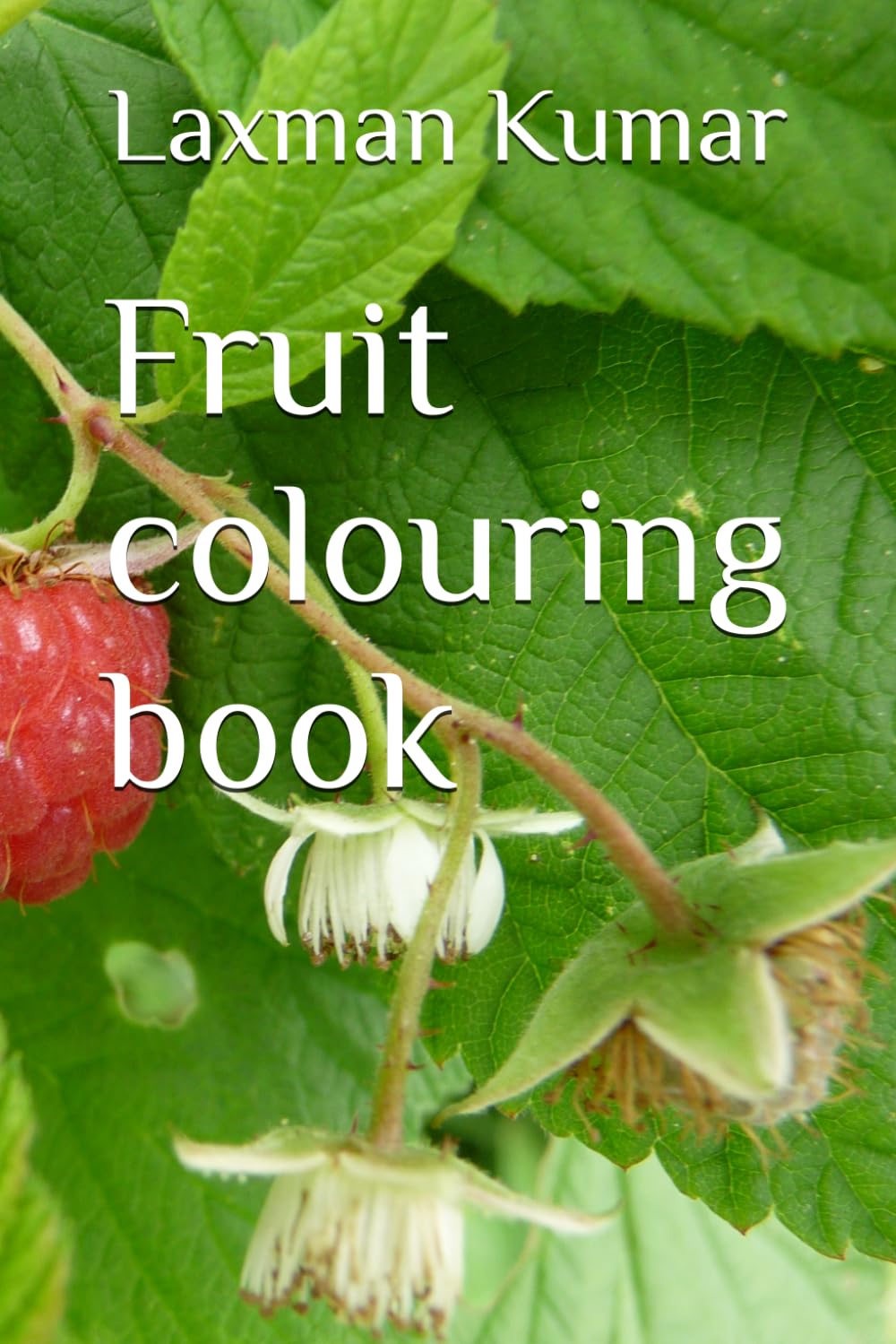 Fruit colouring book