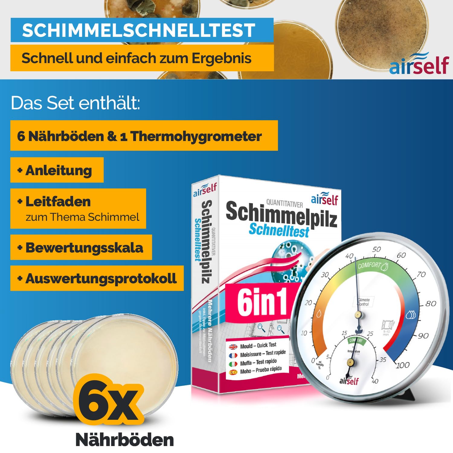 Schimmeltest + Thermohygrometer analog für bis zu 6 Räume | zum Check der Schimmelbelastung, inkl. analogem Thermo-Hygrometer