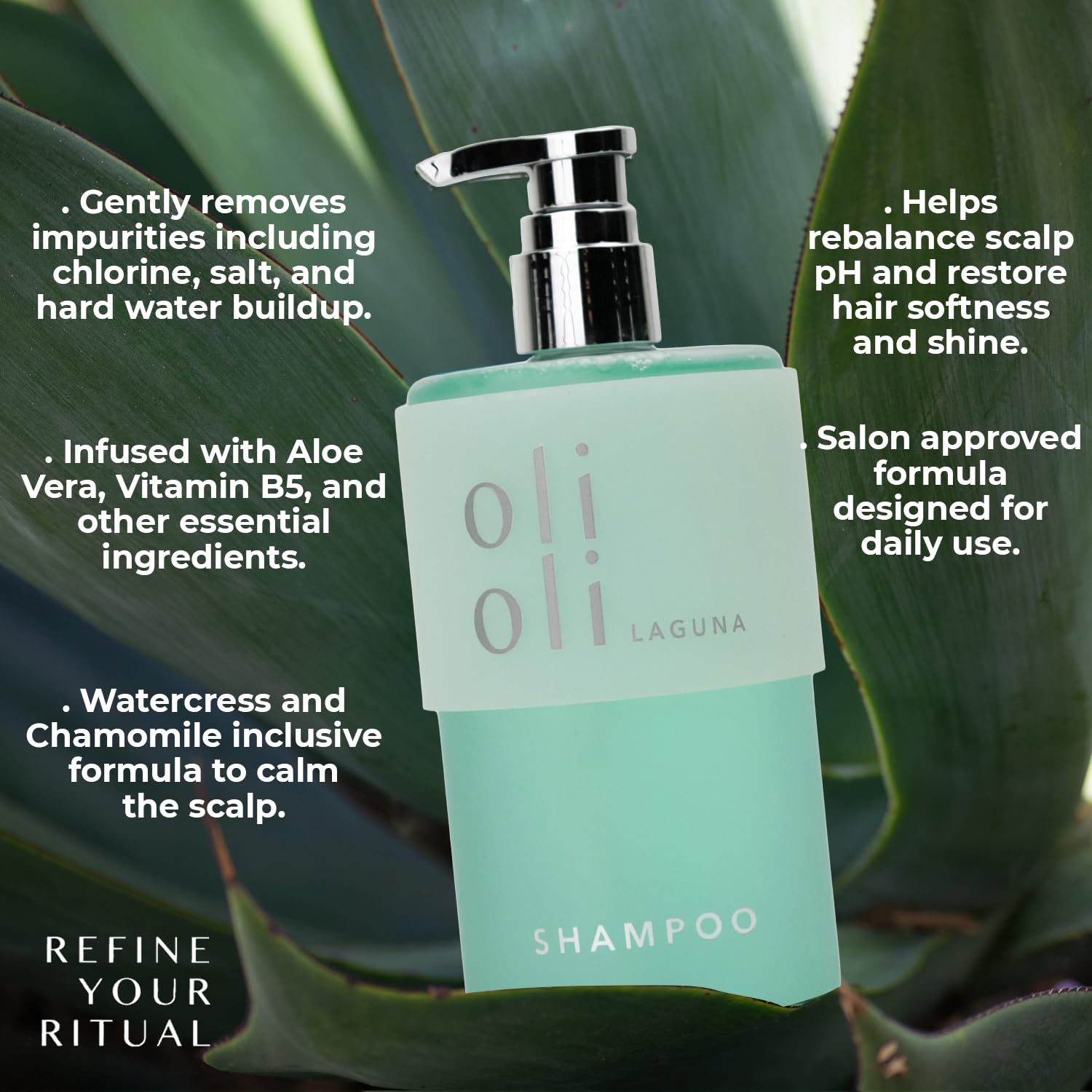 OLIOLI Daily Detox Shampoo 15.2oz | Clarifying Detox Shampoo with Aloe, Vitamin B5, Watercress & Chamomile | Gentle Clarifying for Build Up, Chlorine & Mineral Residue - Image 3