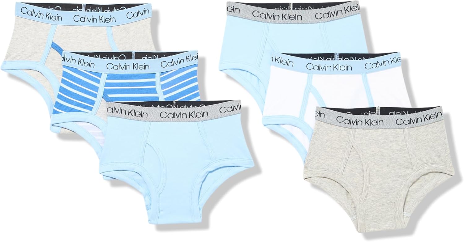 Calvin Klein Kids Boys' Modern Cotton Brief Underwear 6-Pack