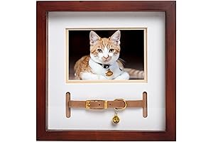 Pearhead Pet Collar Keepsake Picture Frame