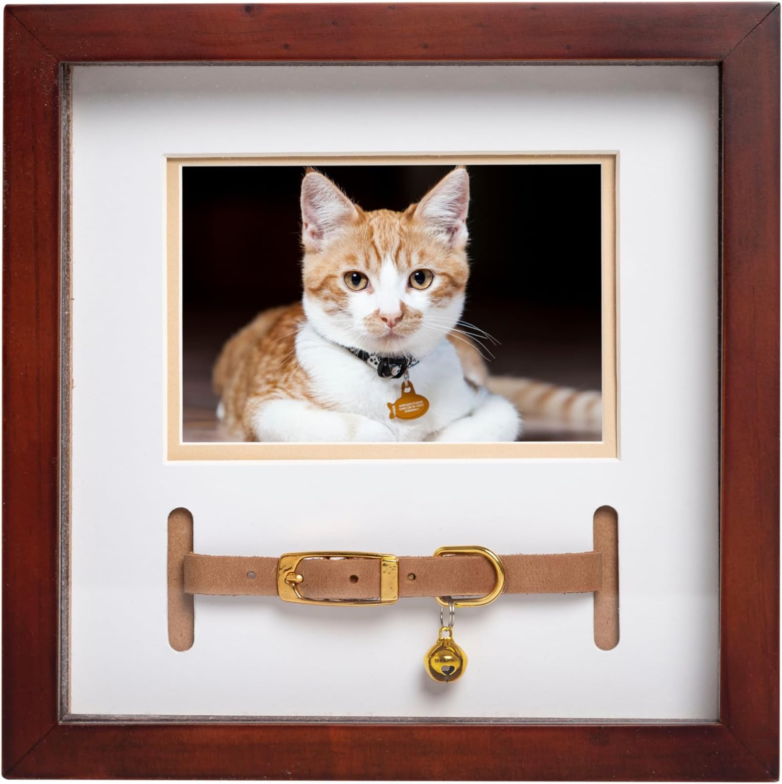 Pearhead Pet Collar Keepsake Frame - Dual Display Memorial Keepsake for Cat & Dog Collars, Wall Mount or Tabletop, and Home Decor for Pet Owners, Espresso