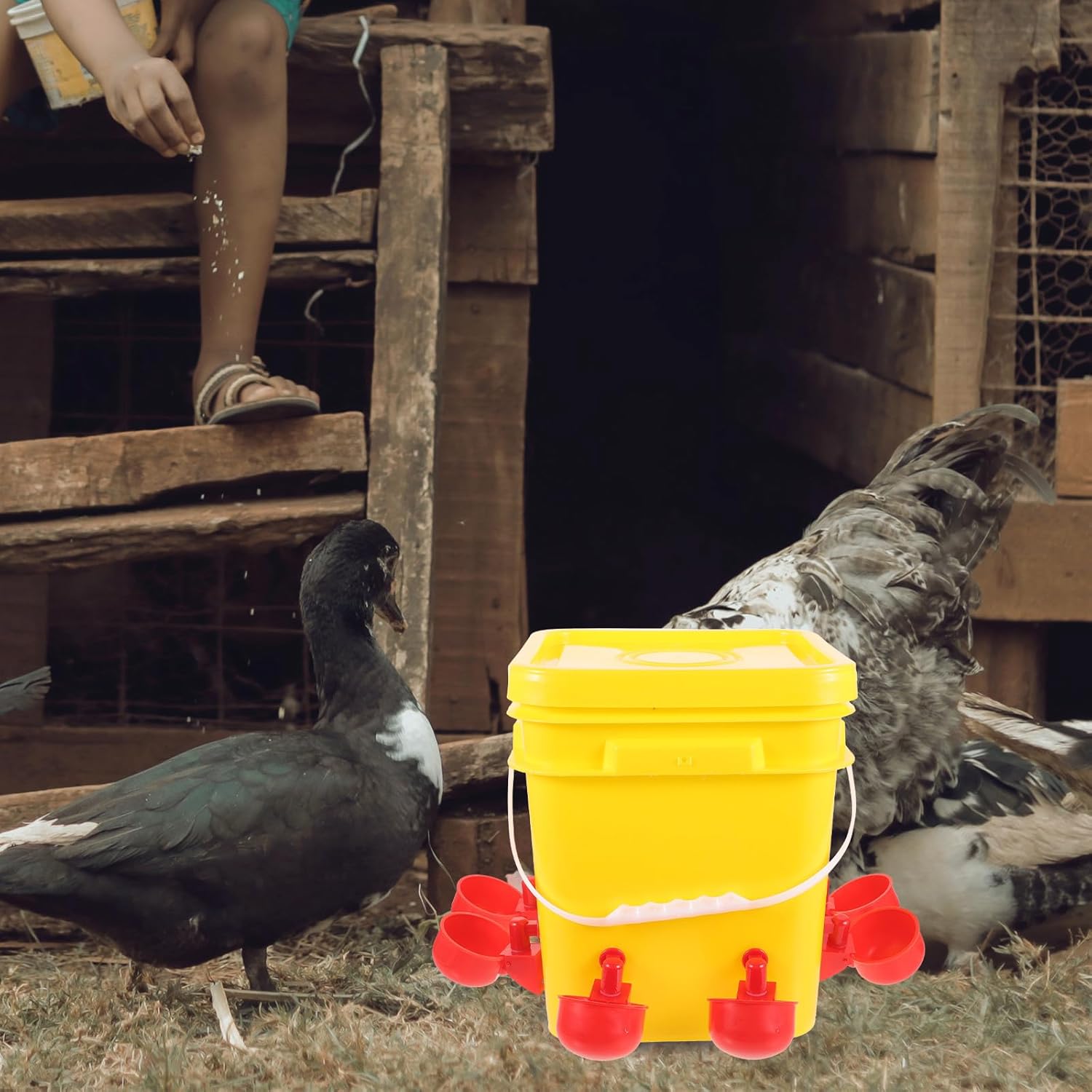 Automatic Poultry Feeder 12L Container and 8 Plastic Water Bowls for Chickens, Household Chick Feeder for Farm and Backyard Chicken Feeding Supplies