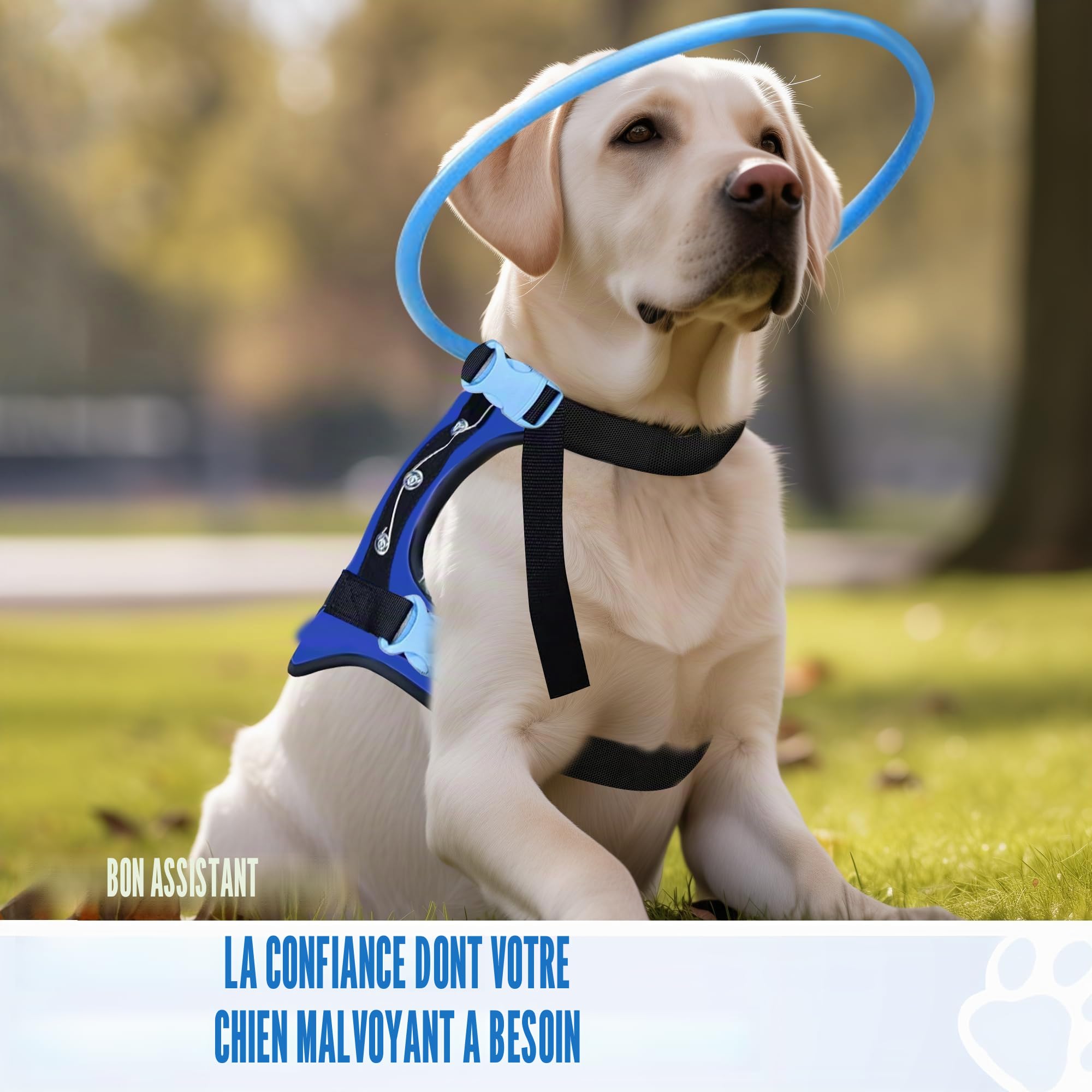 Harnais Halo pour Chien Aveugle, Collier Halo de Protection pour Chiens Aveugles, Harnais de Renforcement de Confiance Dispositif de Guidage, Accessoires pour Chiens Aveugles, Moyen