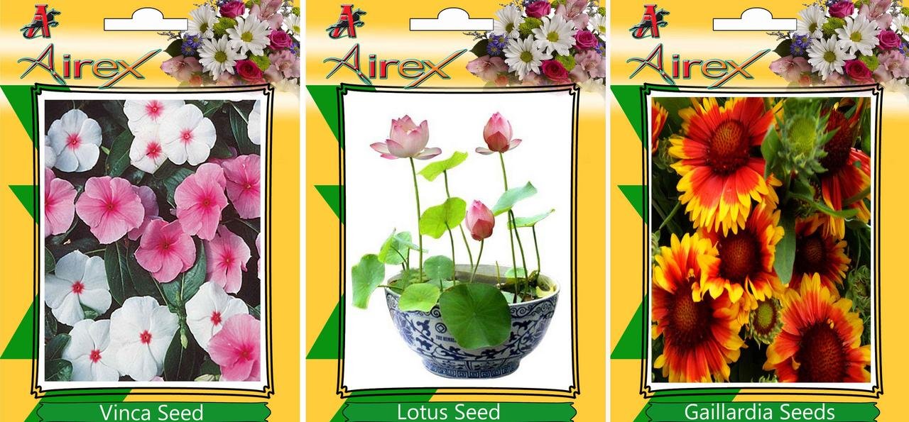 Flower Seeds By Airex Vinca, Gaillardia and Lotus (Summer) Flower Seed