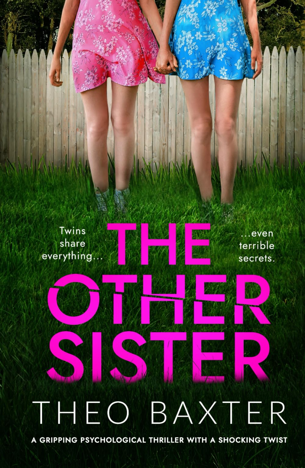 The Other Sister: a gripping psychological thriller with a shocking twist