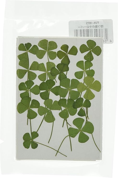 Amazon Co Jp フクサン 押し花パック 四つ葉のクローバー 大 18個入 Fuk 1075 ネイル レジンなどに最適 ホーム キッチン