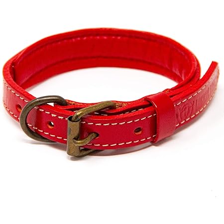 logical leather dog collar