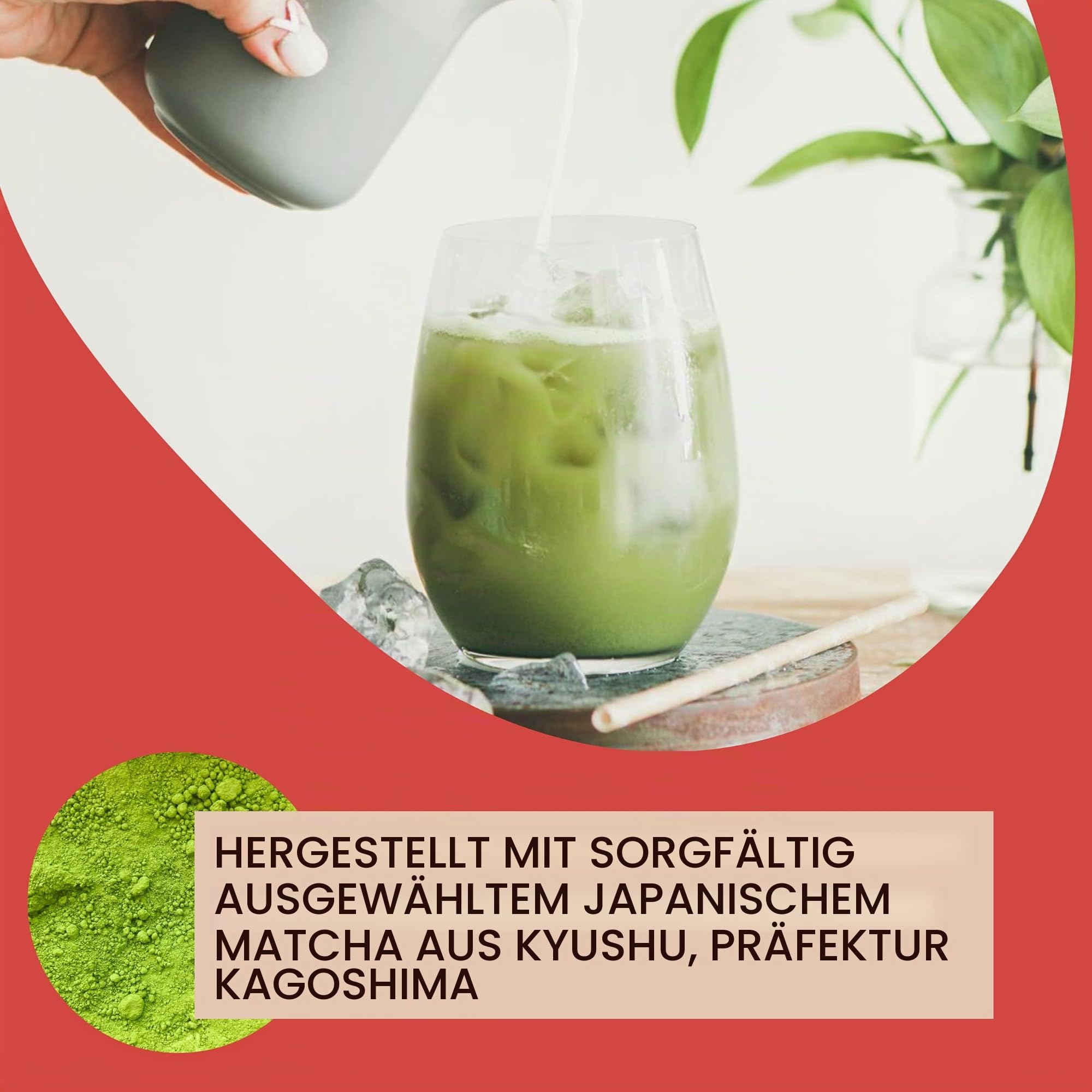 David Rio - großer Beutel - Frappé Matcha (1361 g)