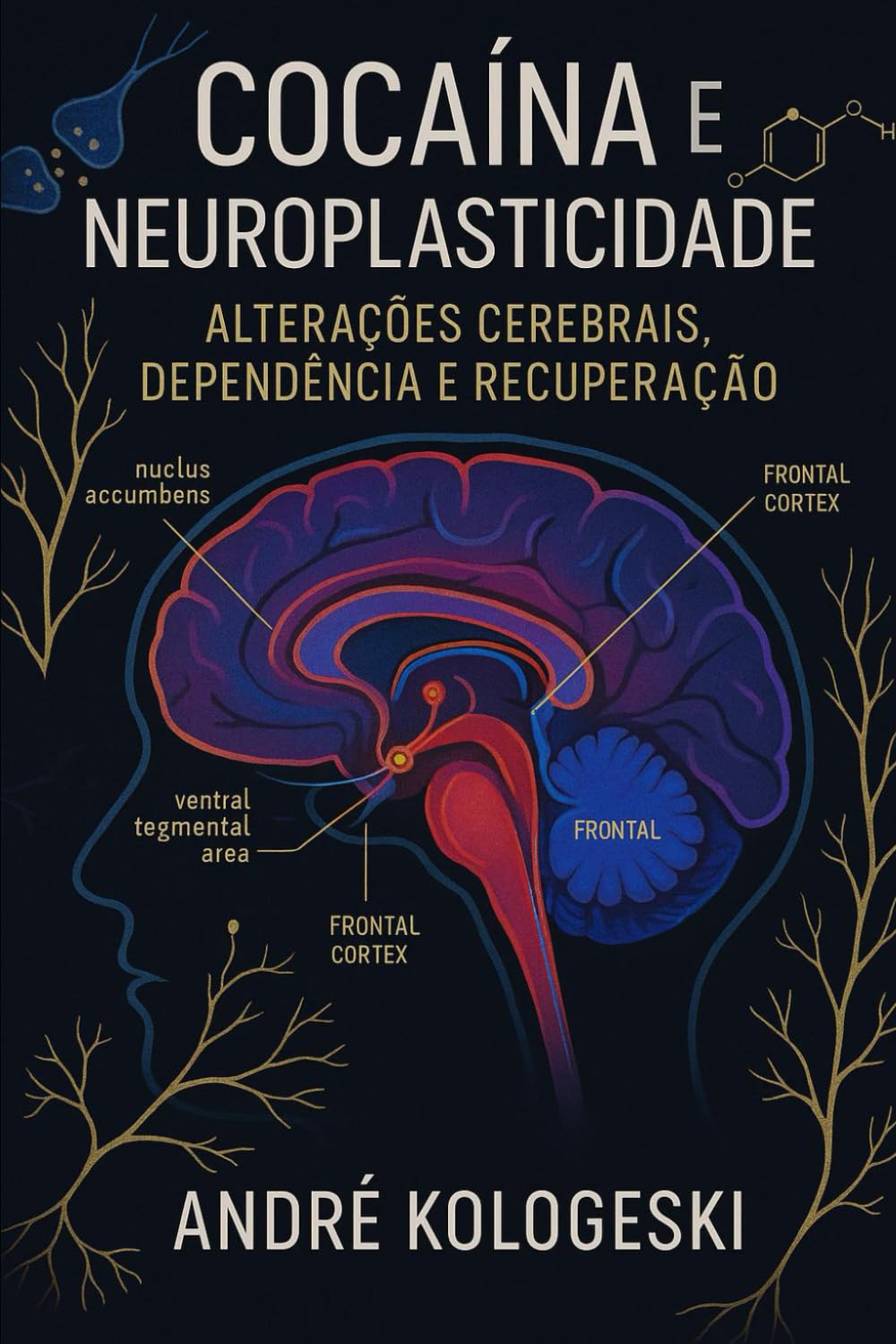 Cocaína e Neuroplasticidade: Alterações Cerebrais, Dependência e Recuperação: 1 (Série 21ª)