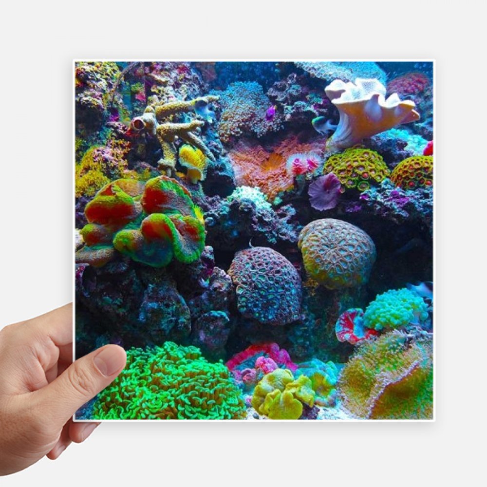Stickers de coral océano para renovar maletas rayadas y decorar portátiles con estilo marino