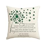 AVOIN colorlife St Patricks Day Lucky Clovers Fly Throw Pillow Cover, 18 x 18 Inch an Irish Blessing Shamrock Cushion Case Decoration for Sofa Couch