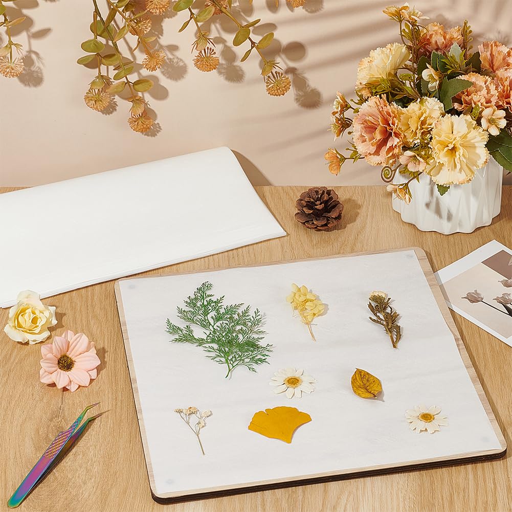 BENECREAT 50 fogli di carta assorbente per pressa per fiori, 26 x 26 cm, carta assorbente altamente assorbente e riutilizzabile, per fiori e erbario