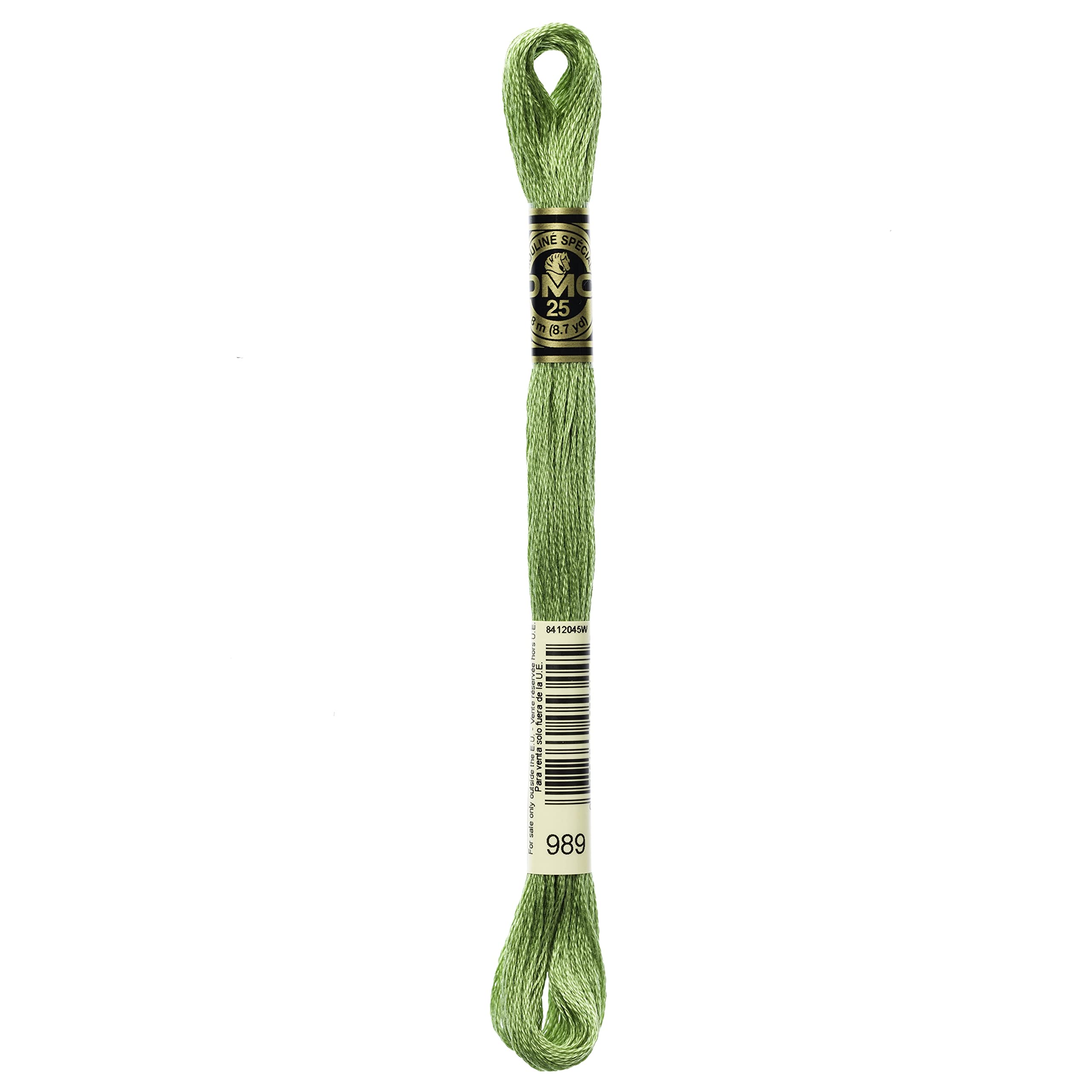DMC 6-Strand Embroidery Cotton Floss, Forest Green