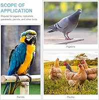 Vista 5 de Balacoo 100 bandas coloridas para patas de paloma, anillos de identificación de plástico para pájaros, anillo de pie de pájaro con broche abierto