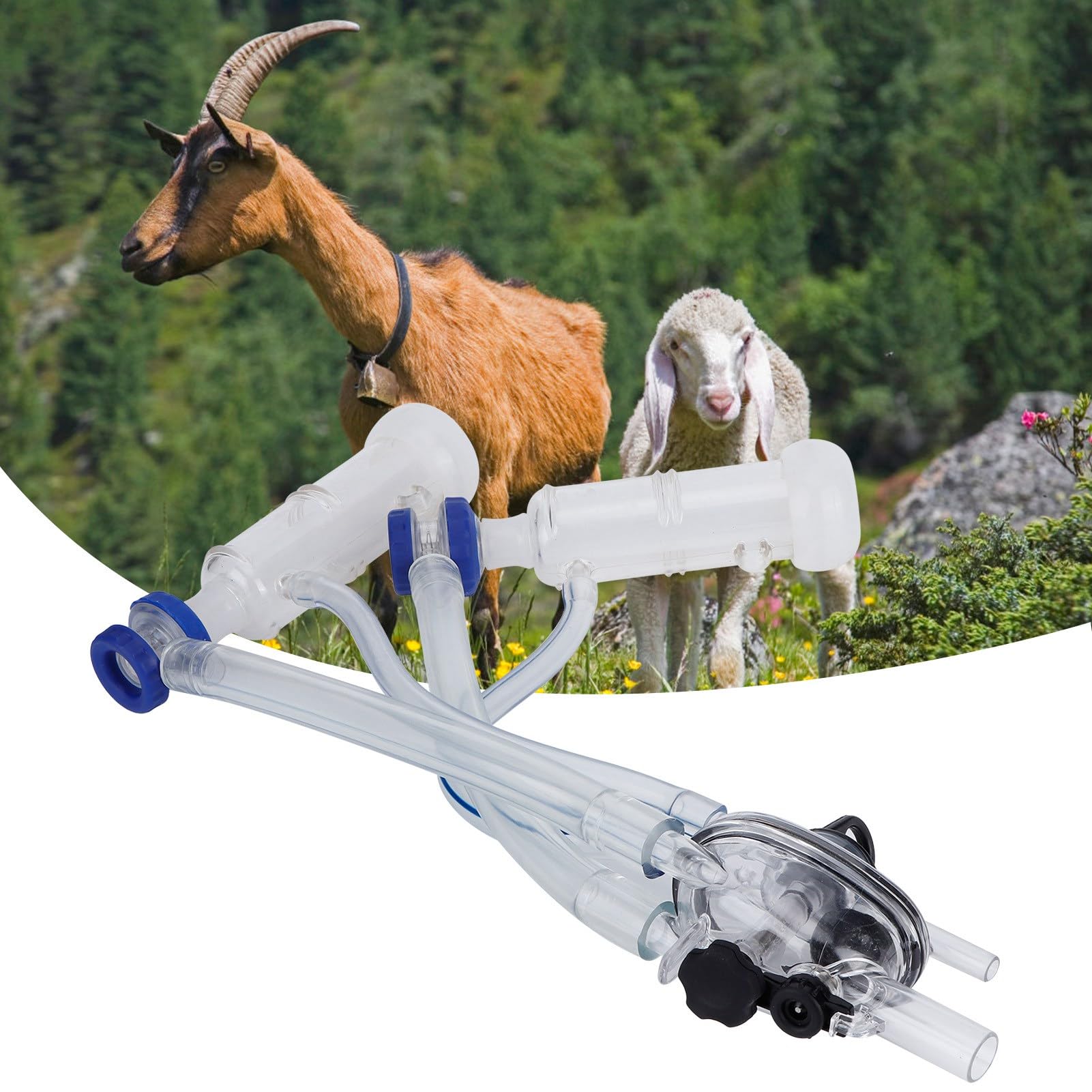 Tettarelle Per Mungitura FLEXMAN - Gruppi Di Mungitura Per Pecore Con Raccoglitore Di Latte - Foto 2