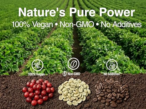 Miniatura 4 de Lovita Extracto de grano de café verde antioxidante natural, alta potencia, ácido clorogénico al 50%, suplemento dietético vegano - 60 cápsulas