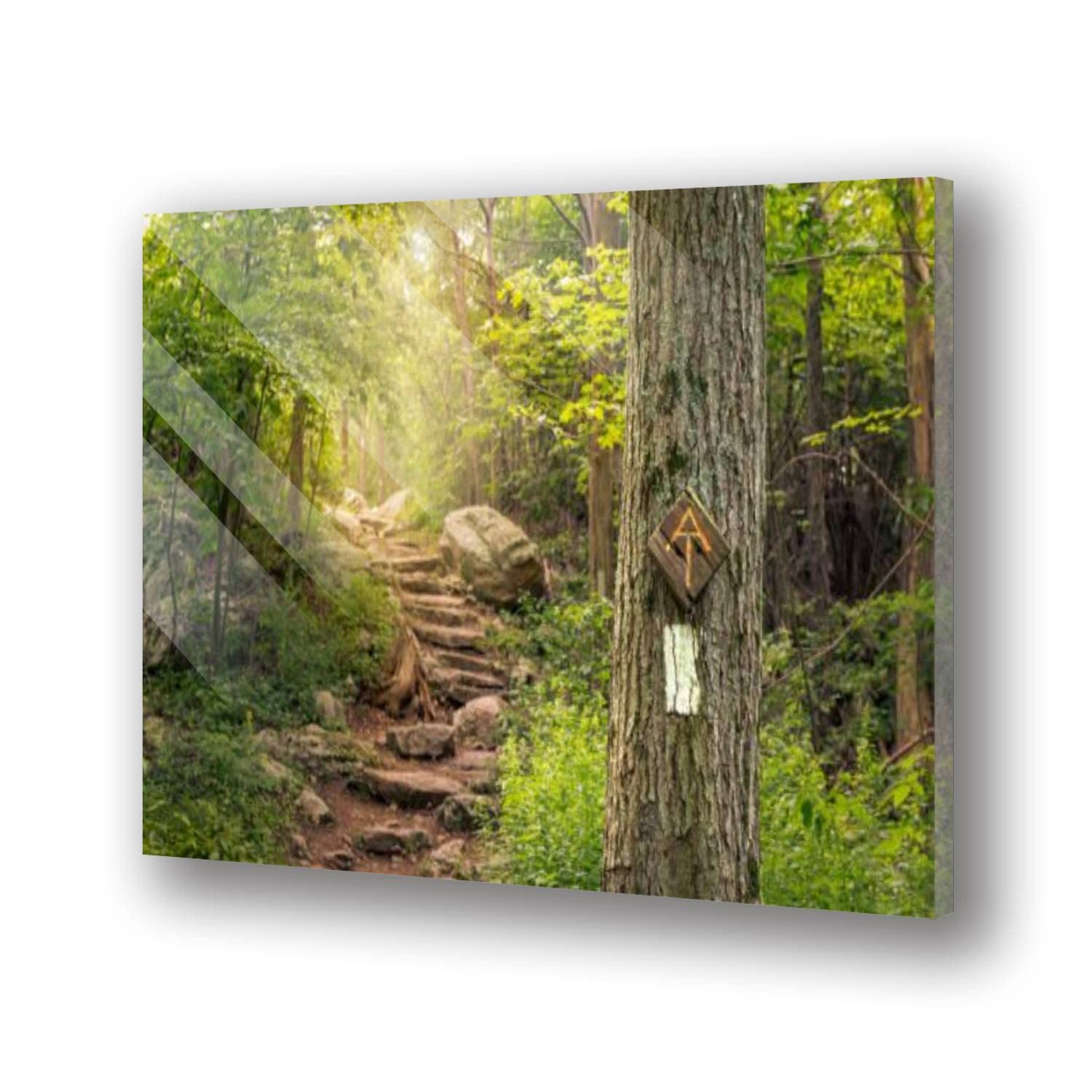 Tempered Acrylic Glass Wall Art Rock steps along the Appalachian Trail in Stokes State Forest New Modern Acrylic Artworks Picture Print Accent Decor for Living Room Bedroom Office Free Floating