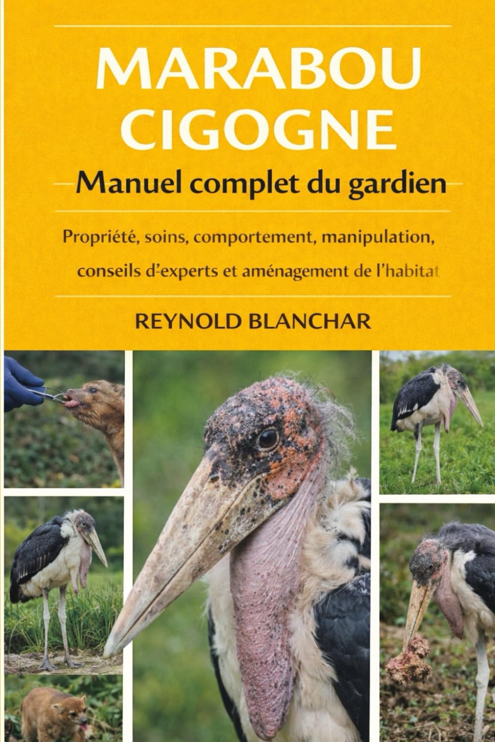 MARABOU CIGOGNE: Propriété, soins, comportement, manipulation, conseils d'experts et aménagement de l'habitat