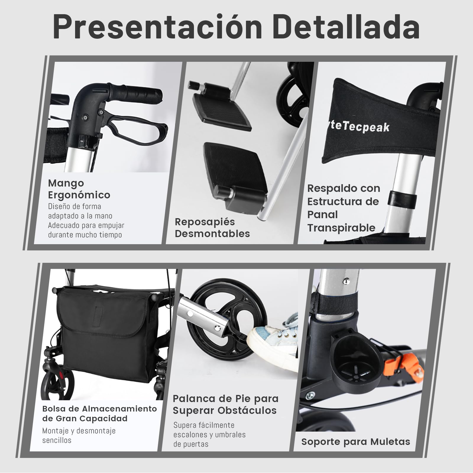 R3 - Andador y silla de ruedas 2 en 1 con reposapiés y bastón plegable, altura regulable, función de silla de ruedas, soporta hasta 100 kg (Plata)
